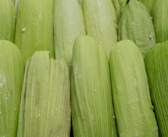CAPOTESLISTOS